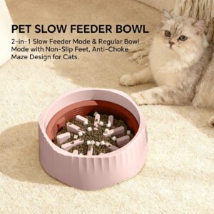 2-in-1 Pet Slow Feeder Bowl, Anti-Choke, Maze Design for Dogs & Cats, Non-Slip Bloat Stop Feeding Dish