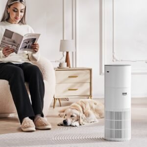 Air Purifier Large Room, 1090 Sq. Ft True HEPA H13 Filtration