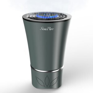 Mini Portable Air Purifier, Compact True HEPA Filter for Home & Office